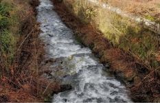 L'Auvergne